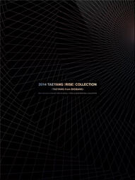 [2015.02.05] 2014 Taeyang [Rise] Collection DVD - 2014 Taeyang Concert Rise in Seoul